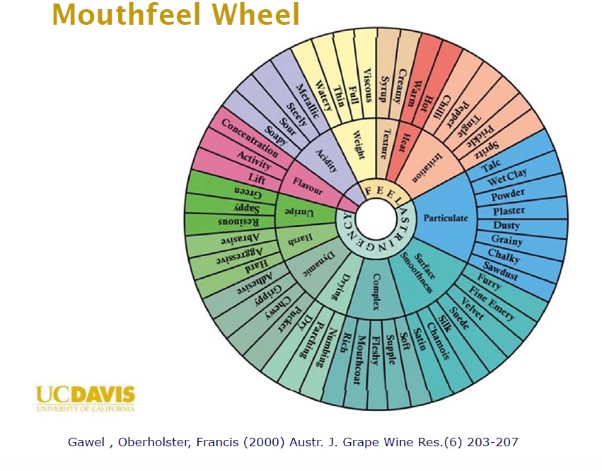 A Wine Tasting Wheel Describing Mouthfeel of or Wine