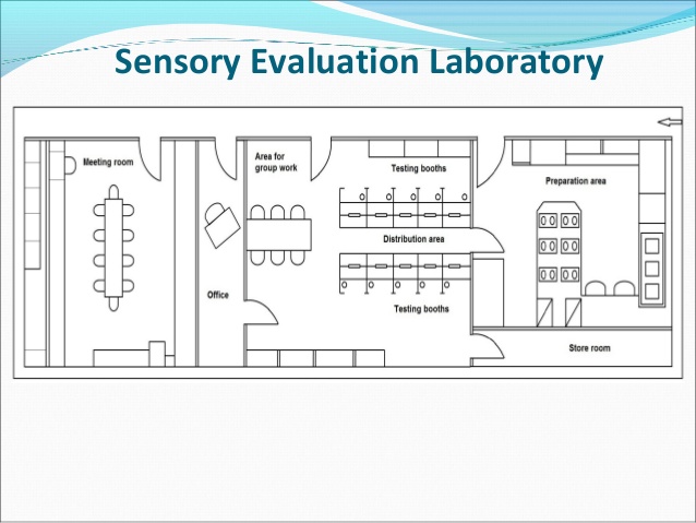 Wine Tasting: Sensory Techniques for Wine Analysis